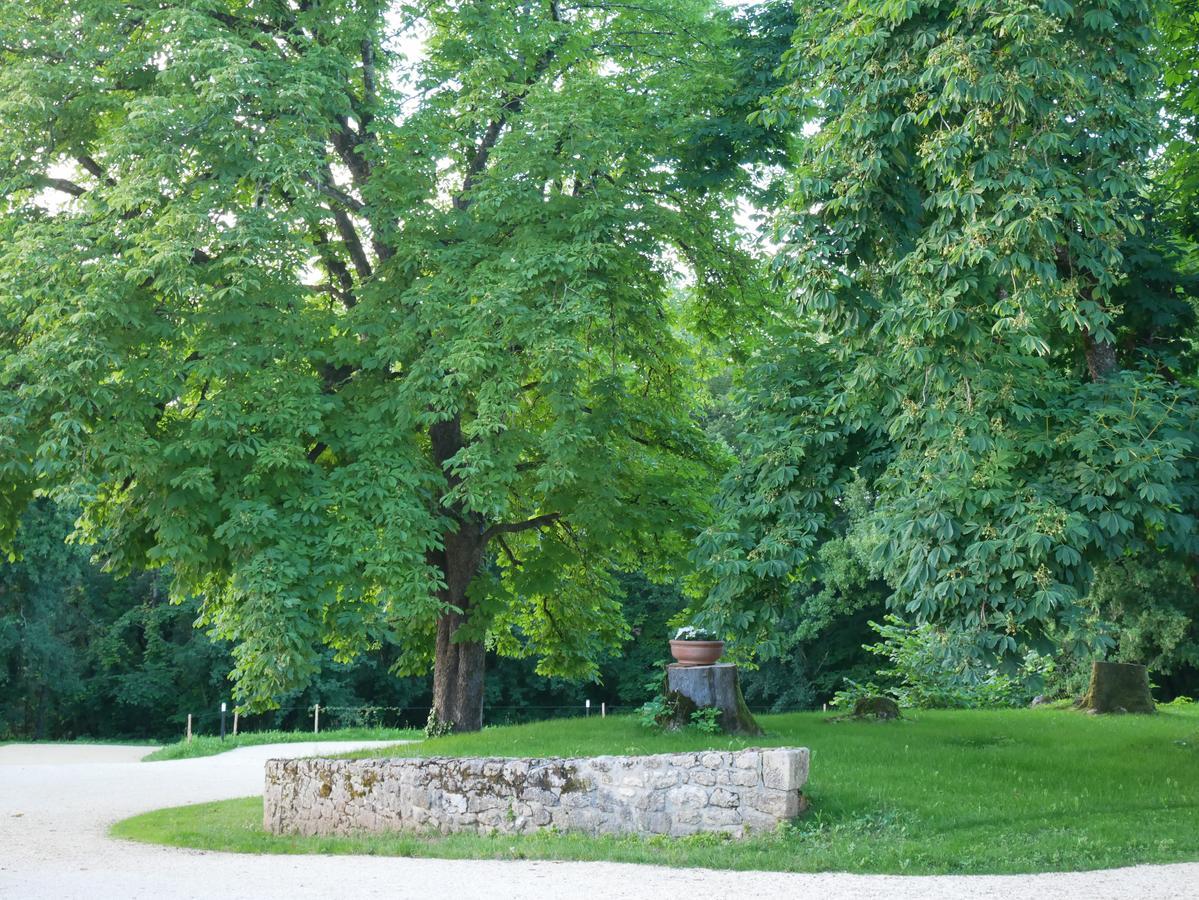 Вілла Les Maisons Du Cheylard-Lascaux Les Farges  Екстер'єр фото